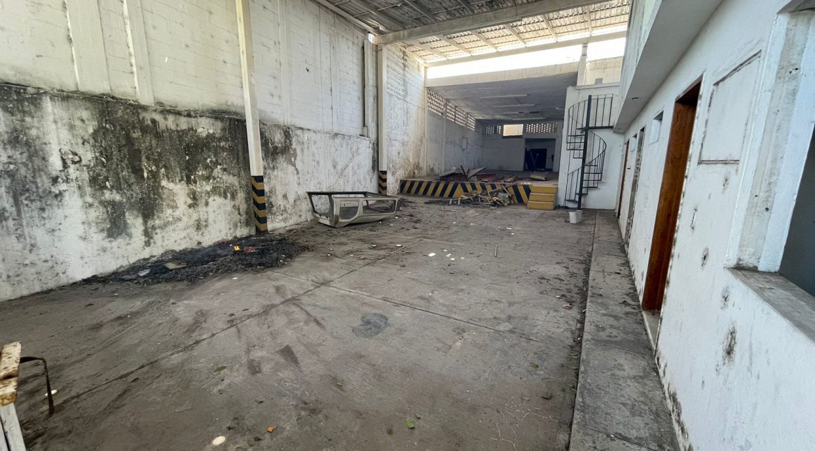 e3d55769-a9f3-4f43-9224-ca748810770b