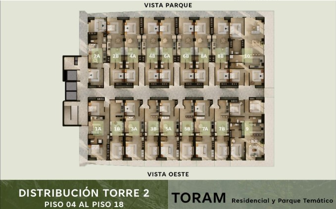 TORAM1
