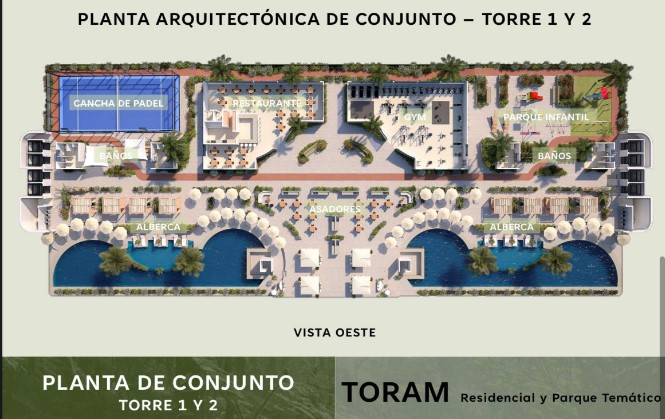 TORAM13