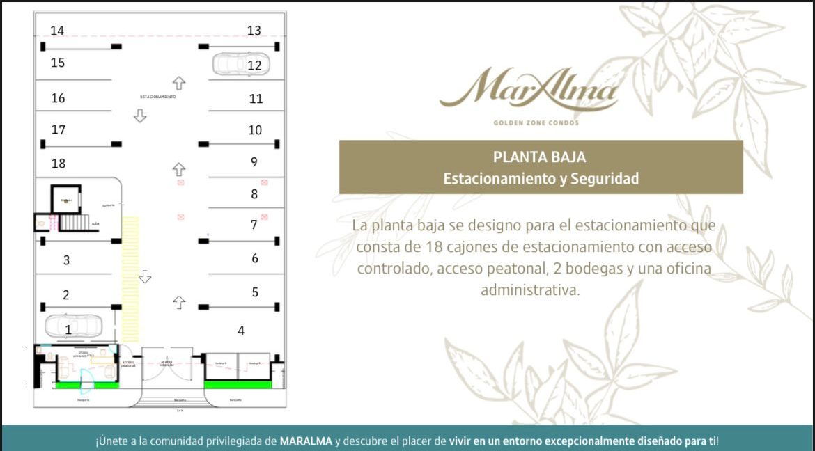 WhatsApp Image 2025-05-12 at 12.04.57 PM (1)