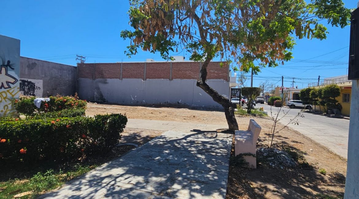 WhatsApp Image 2025-06-03 at 12.19.39 PM (1)