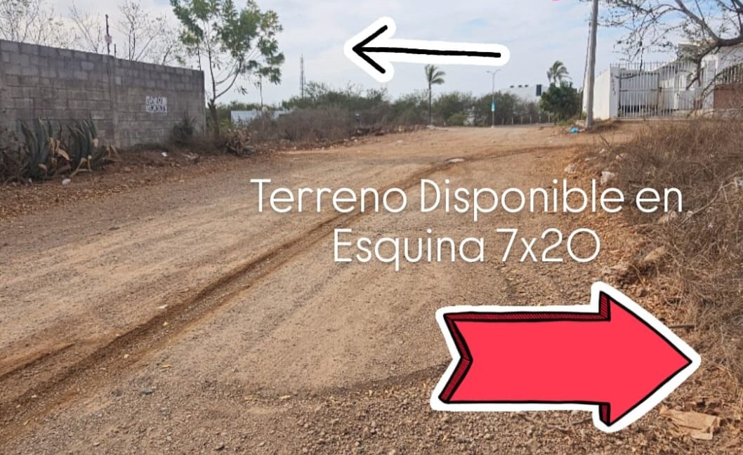 WhatsApp Image 2025-06-03 at 12.40.55 PM (1)