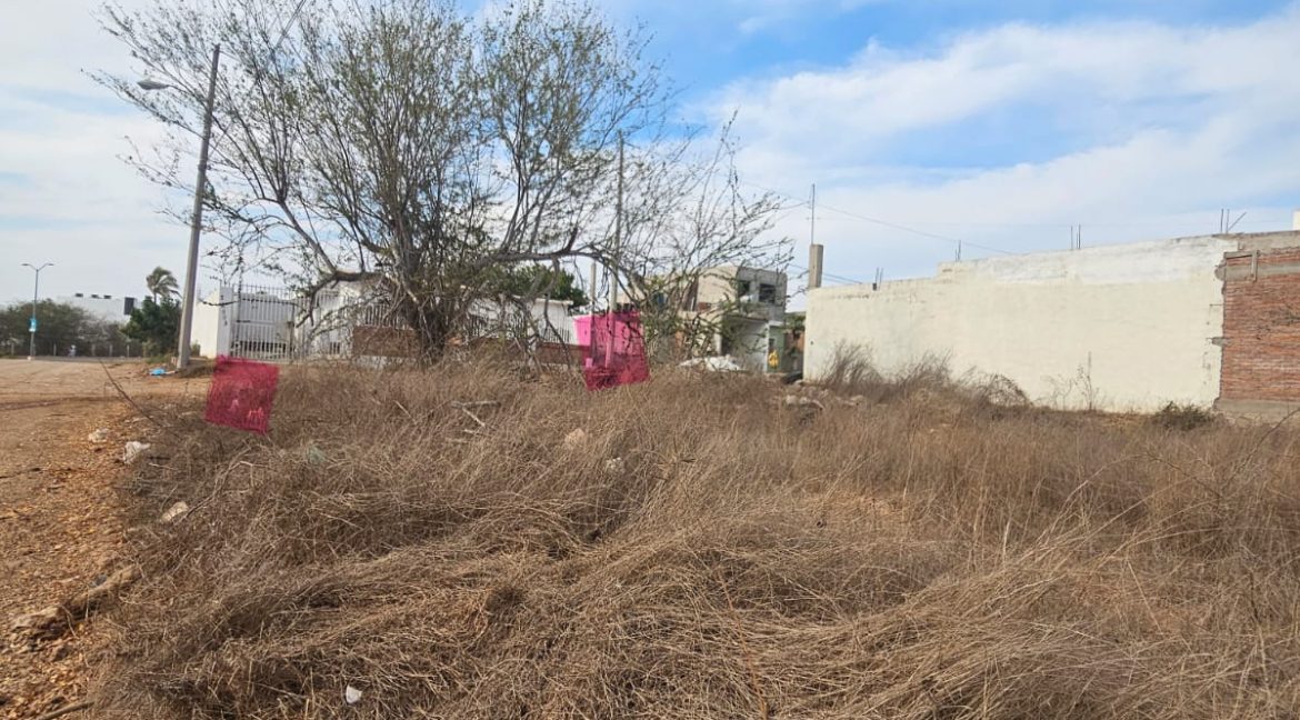 WhatsApp Image 2025-06-03 at 12.40.55 PM