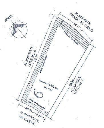 WhatsApp Image 2025-08-01 at 9.17.38 AM (1)