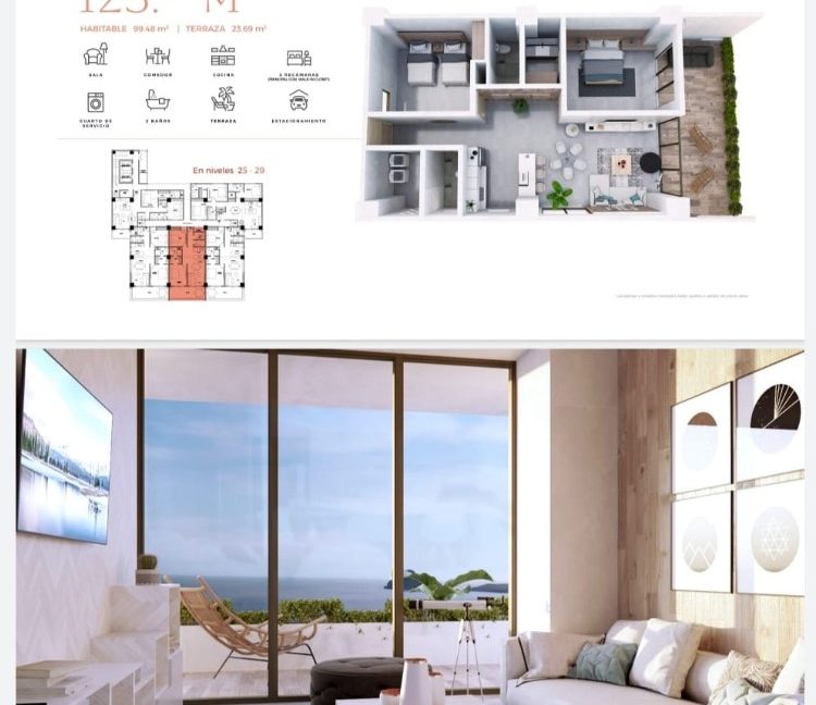 akoya4