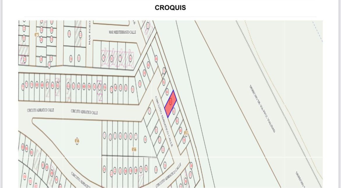 WhatsApp Image 2026-01-13 at 12.11.14 PM (1)