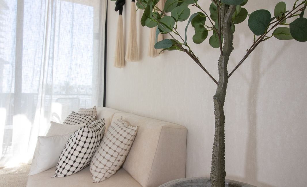 WhatsApp Image 2026-04-01 at 3.34.20 PM (1)