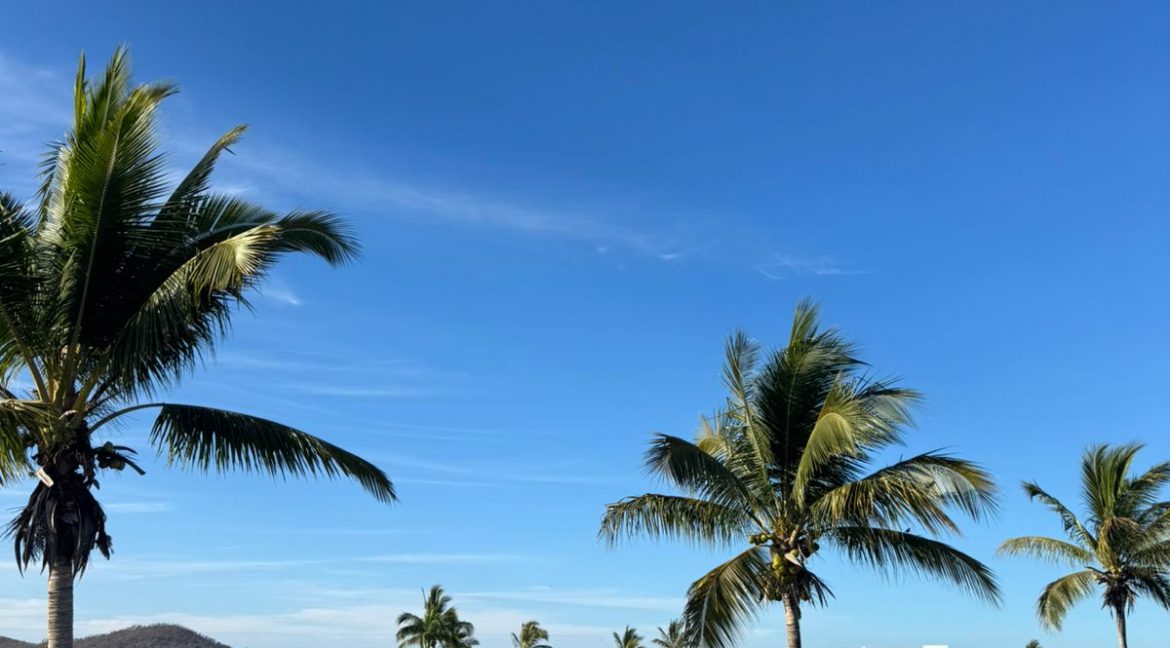 WhatsApp Image 2026-04-16 at 10.26.08 AM (1)