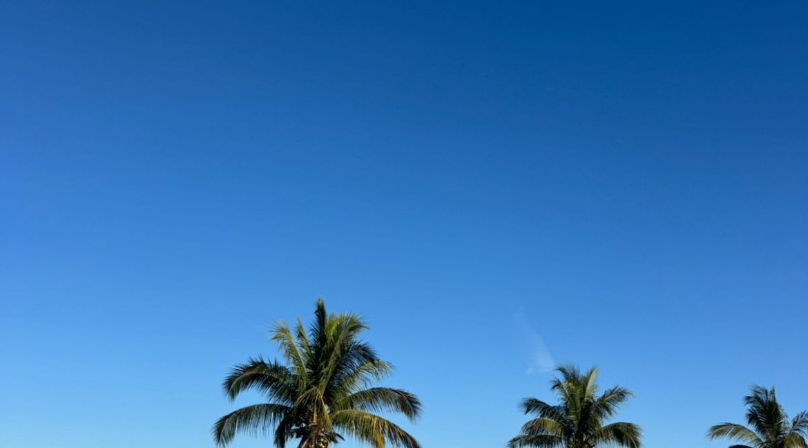 WhatsApp Image 2026-04-16 at 10.26.08 AM