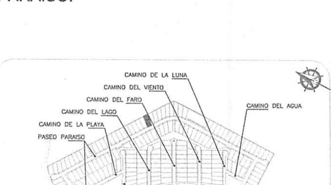 WhatsApp Image 2026-07-28 at 16.52.43 (1)